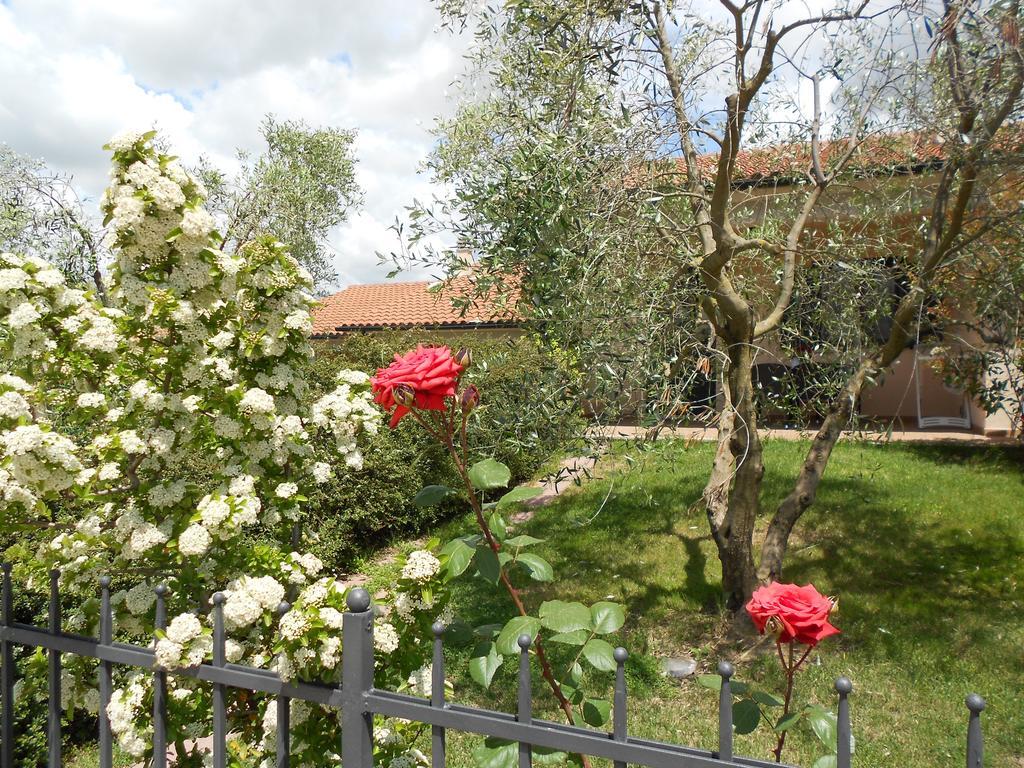 Poggio Degli Olivi Pensionat Saturnia Exteriör bild
