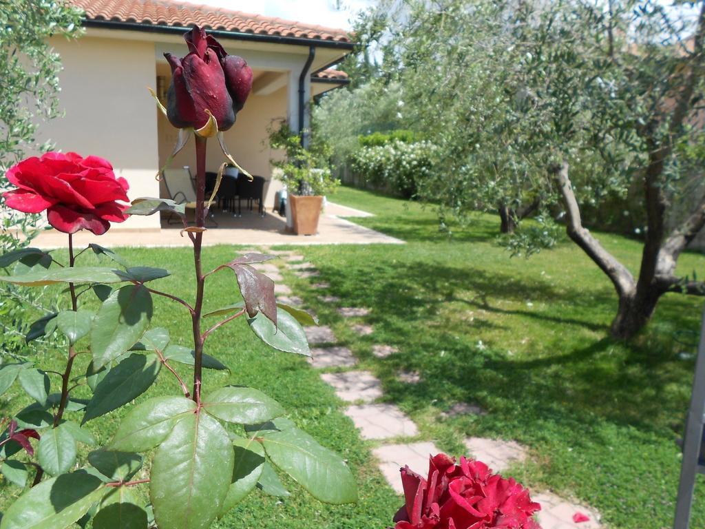 Poggio Degli Olivi Pensionat Saturnia Exteriör bild