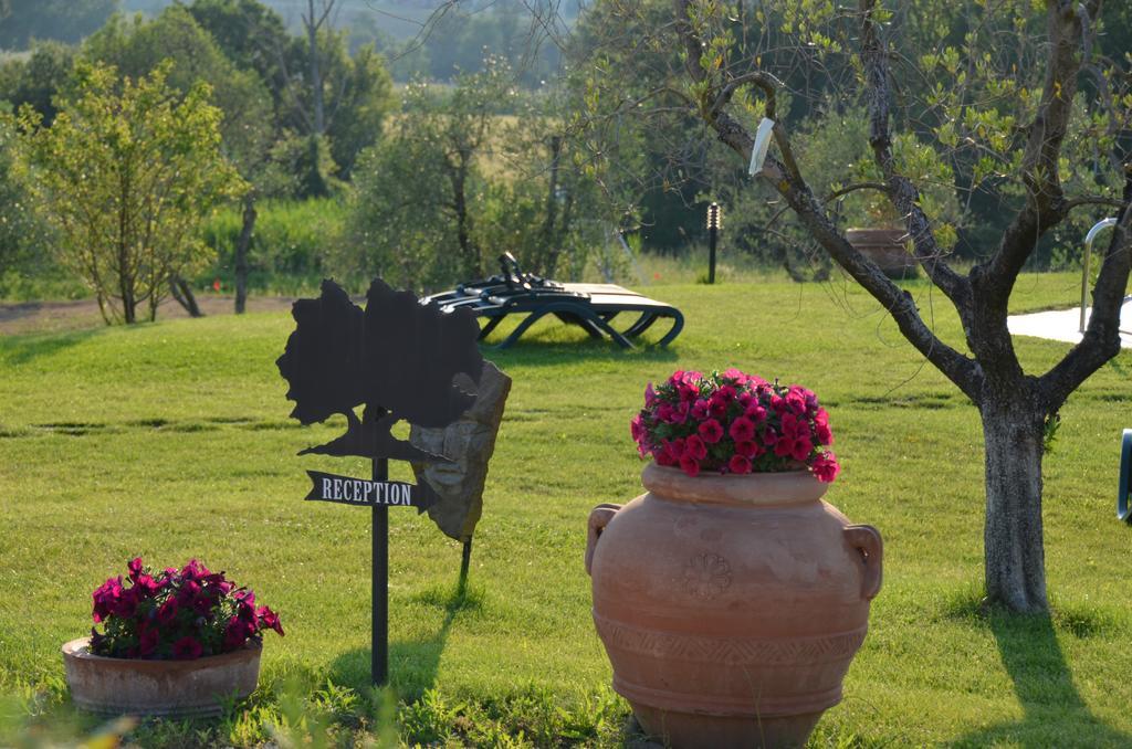 Poggio Degli Olivi Pensionat Saturnia Exteriör bild