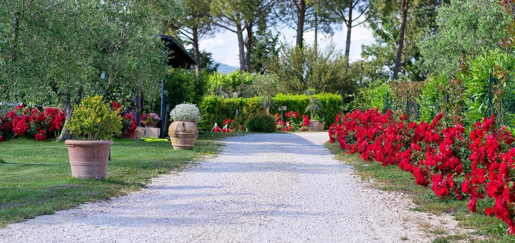 Poggio Degli Olivi Pensionat Saturnia Exteriör bild